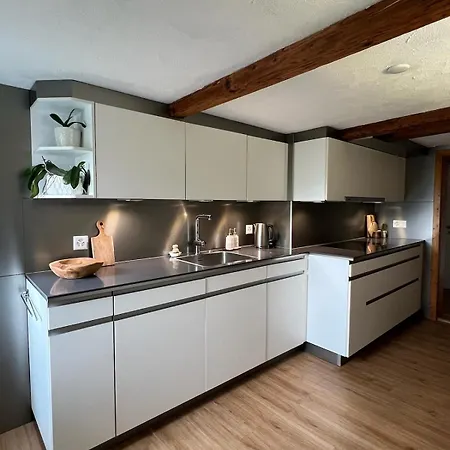 Apartament Cozy Swiss Fjord Flumserberg Direct Train Zurich