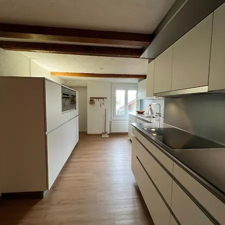 Apartament Cozy Swiss Fjord Flumserberg Direct Train Zurich Unterterzen