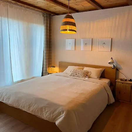 Apartament Cozy Swiss Fjord Flumserberg Direct Train Zurich