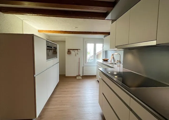 Apartment Cozy Swiss Fjord Flumserberg Direct Train Zurich Unterterzen