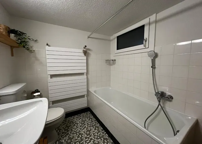 Apartment Cozy Swiss Fjord Flumserberg Direct Train Zurich Unterterzen