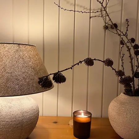 Cozy Swiss Fjord Flumserberg Direct Train Zurich Appartement Unterterzen