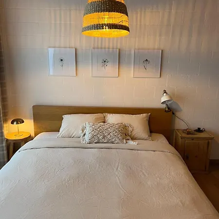 Cozy Swiss Fjord Flumserberg Direct Train Zurich *