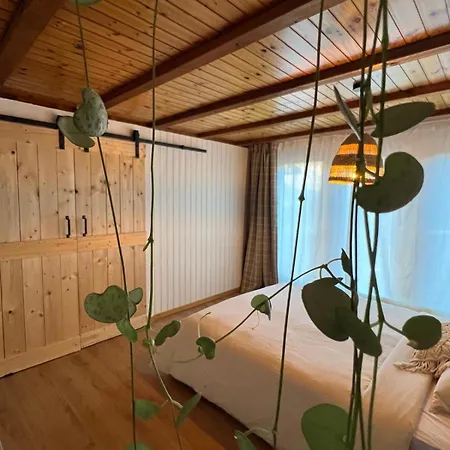 Appartement Cozy Swiss Fjord Flumserberg Direct Train Zurich